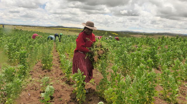 La producción agrícola es una de las principales actividades económicas.