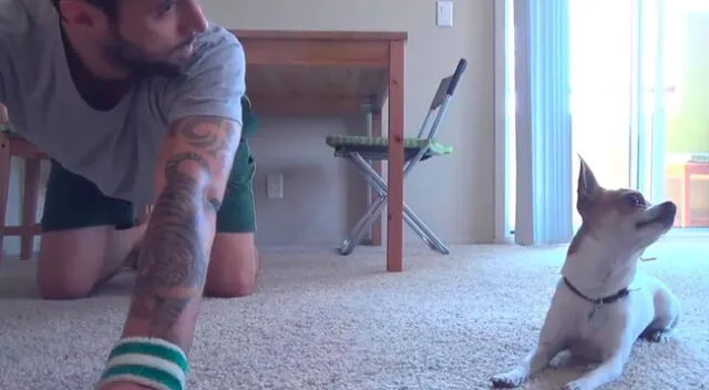 Joven hace yoga junto a su perro chihuahua y enternecen las redes sociales