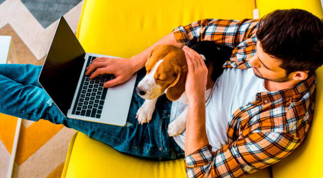En Facebook, se volvió viral un cachorro por el comportamiento que tiene con su dueño  donde evita que se vaya a trabajar.