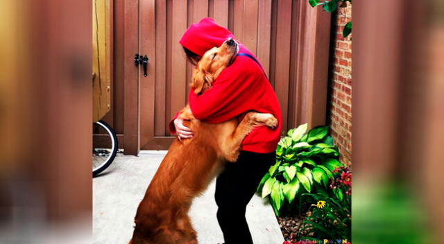 Una joven y su perro protagonizan tierno reencuentro