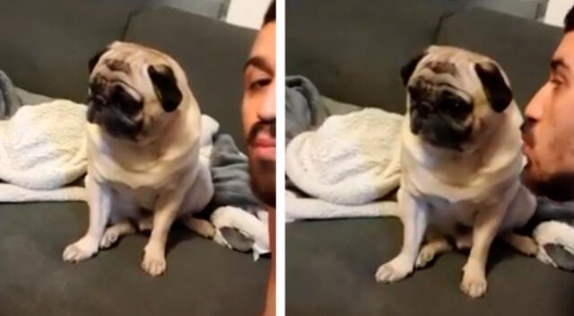 La divertida actitud de un perro cuando su dueño le quiere dar unos besos