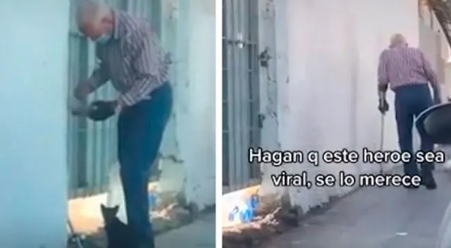 Abuelito acude a una casa abandonada para alimentar a un pequeño gato callejero