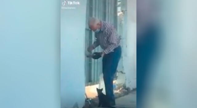 Abuelito acude a una casa abandonada para alimentar a un pequeño gato callejero