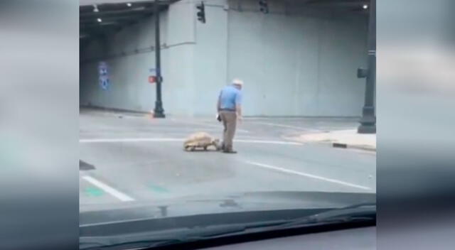 Anciano pasea a su tortuga en las calles y causa furor en las redes sociales