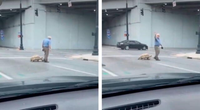 Anciano pasea a su tortuga en las calles y causa furor en las redes sociales