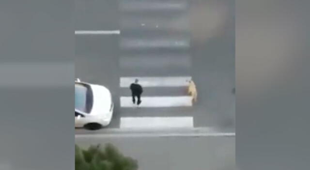 Hombre detuvo el tránsito para que un temeroso perro pueda cruzar la pista