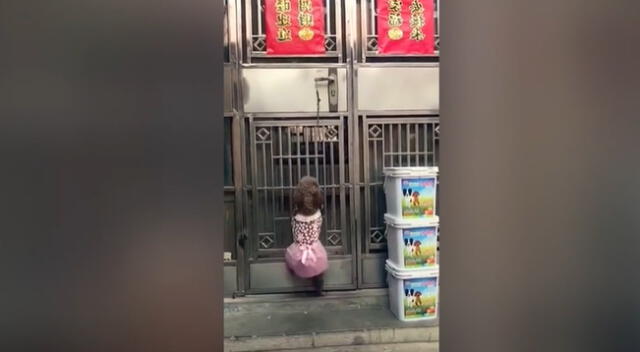 El perro sorprendió en TikTok por su entusiasmo al abrir una puerta.