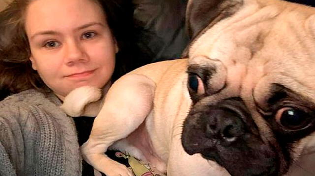 El comportamiento de un perrito causó risas y sorpresas en miles de internautas de Facebook tras evitar que su dueño se vaya a trabajar.