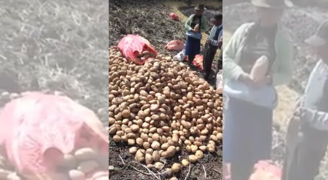 Campesinos piden apoyo del Gobierno para vender sus cultivos.