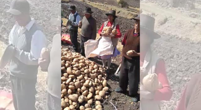 Campesinos piden apoyo del Gobierno para vender sus cultivos.