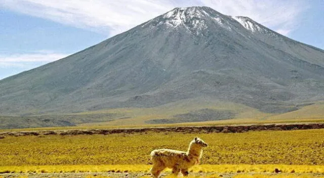 Puna es una de las regiones más bonitas del Perú.