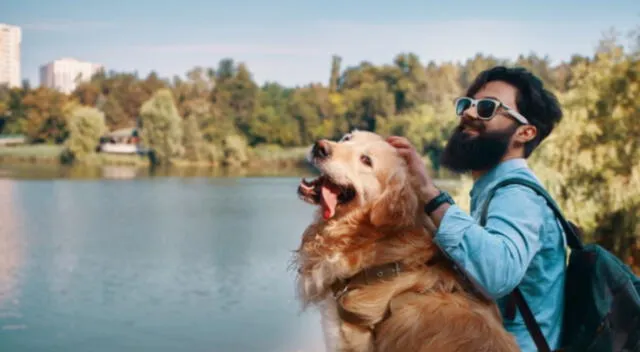 En el clip de TikTok, aparece un cachorro aullando y de inmediato se queda sorprendido al escuchar que un lobo le responde con el mismo aullido.