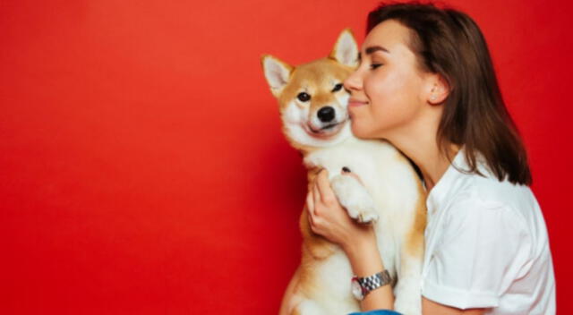 Curiosa reacción tuvo un perro que al practicar sus aullidos no esperó que un verdadero lobo le respondería rápidamente.