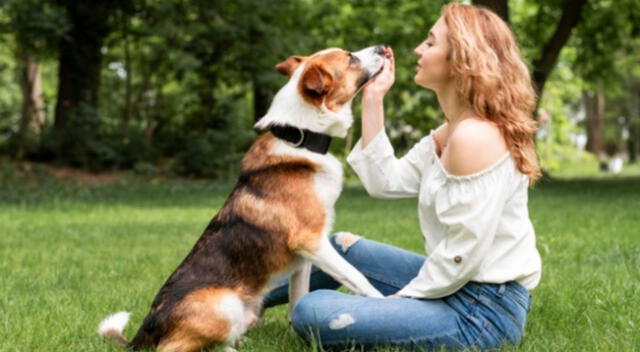 Curiosa reacción tuvo un perro que al practicar sus aullidos no esperó que un verdadero lobo le respondería rápidamente.