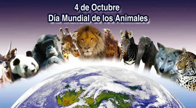 Día Mundial de los Animales