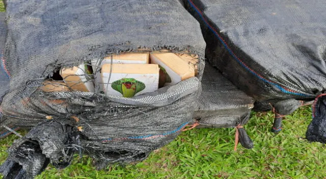 Los sacos encontrados contenían alrededor de 420 kilogramos de alcaloide de cocaína