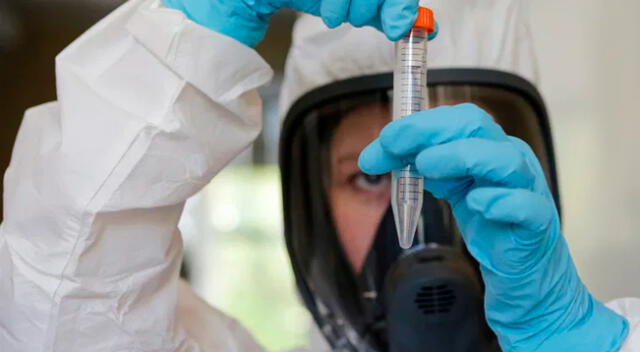 Los científicos de Novosibirsk desarrollaron una vacuna que contiene fragmentos del coronavirus.