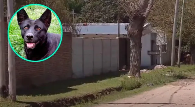 El hombre fue denunciado por sus vecinos en Argentina.