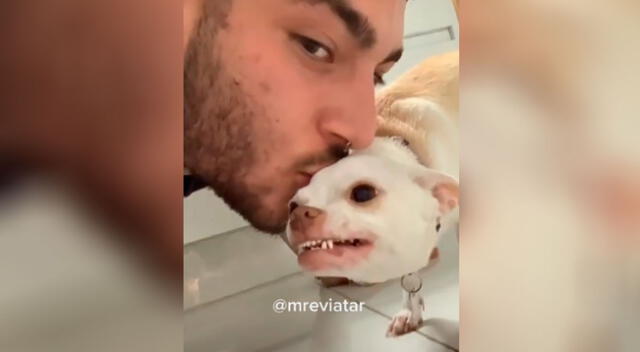 Perro detesta que su dueño lo bese y así lo demuestra