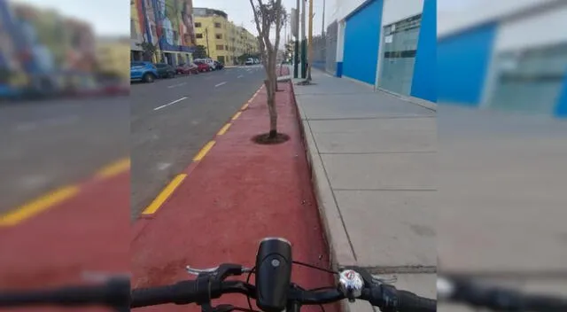 Retiran árboles que obstaculizan la ciclovía en la avenida La Mar, en La Victoria.