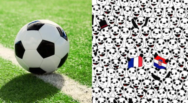 Encuentra la pelota de fútbol escondida entre los pandas.