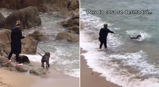 El perrito se emocionó y se metió al mar.