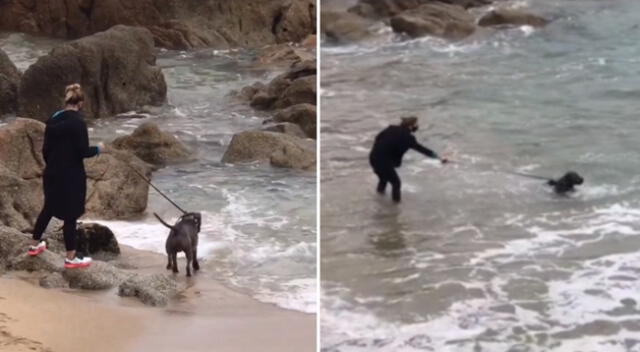 El perrito se emocionó y se metió al mar.