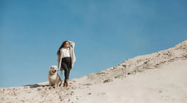 La mujer nunca sospechó que su perro iba a robarse los panes del desayuno.