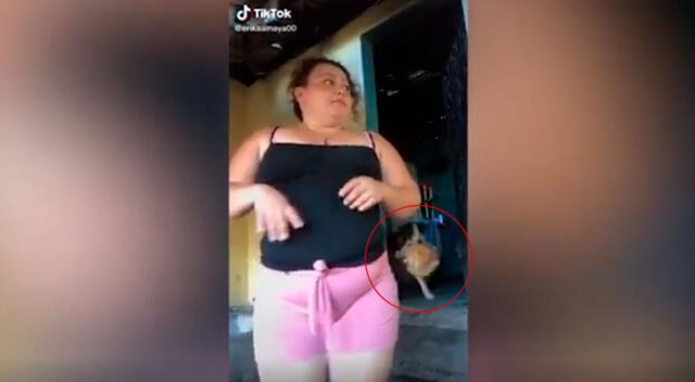 La mujer nunca sospechó que su perro iba a robarse los panes del desayuno. Mira aquí el divertido video de TikTok.