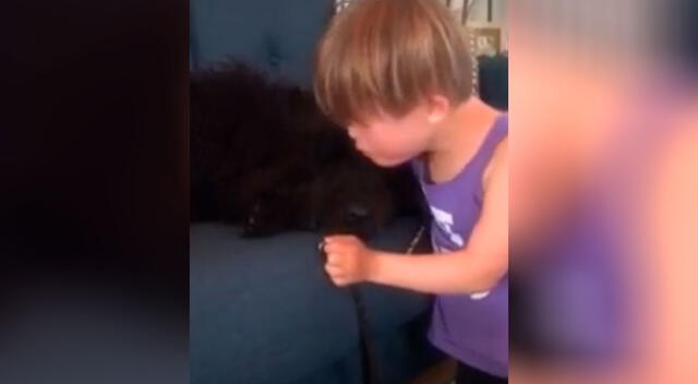 El tierno consuelo de un niño hacia su mascota que acaba de ser operada