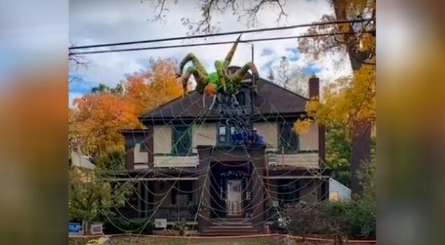 Hombre construye una araña gigante por Halloween