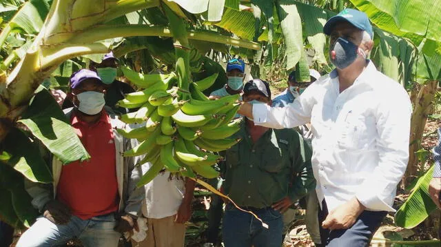 La agricultura basada en el cultivo de frutales.