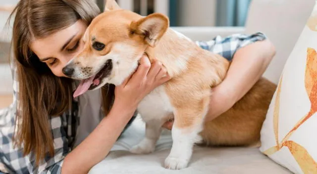 ¡Qué ternura! Una joven veterinaria fue captada mientras leía un cuento a un perro, la reacción del cachorro ha sorprendido a miles de internautas.