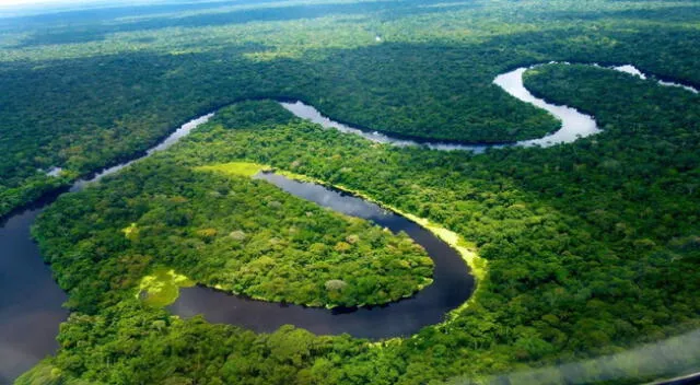 La Selva baja u Omagua está llena de bíodiversidad.