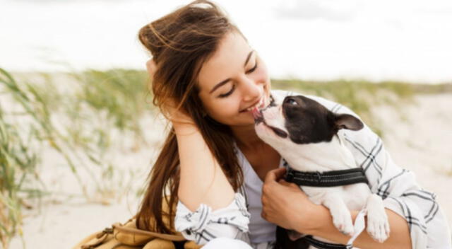 ¡Conmovedor momento! Una veterinaria compartió un tierno momento con un cachorro al leerle un cuento. Aquí podrás mirar la reacción del perro.