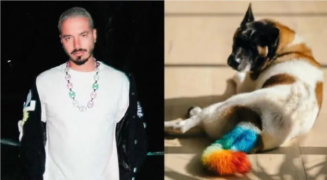 J Balvin en el ojo de la tormenta por pintar cola de su perro.