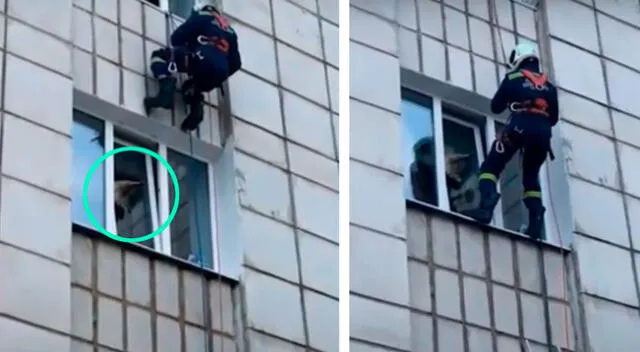 Bomberos le salvaron la vida al felino