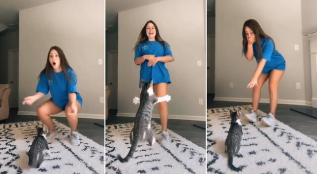 El travieso gato salió de la nada e interrumpió la coreografía de su dueña.