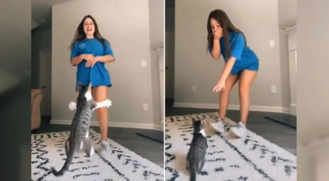 El travieso gato salió de la nada e interrumpió la coreografía de su dueña.