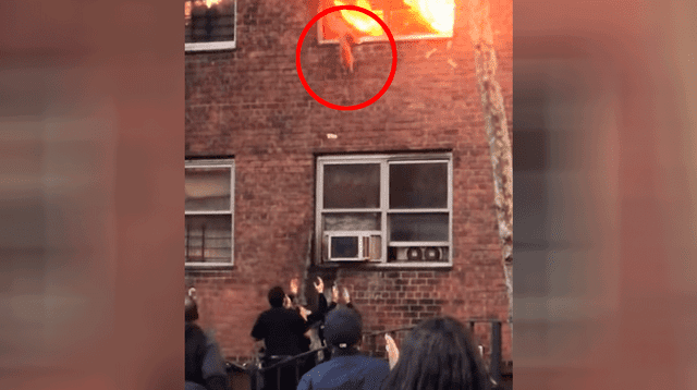 Gatito salta de un edificio en llamas para salvar su vida