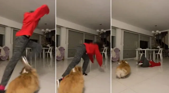 El perrito hizo tropezar a su dueña e interrumpió su reto de baile.