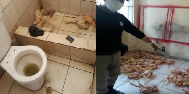 Fiscalizadores encontraron pollos en mal estado