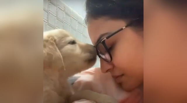 Cachorro demuestra todo el amor que le tiene a su dueña con unos tiernos besos