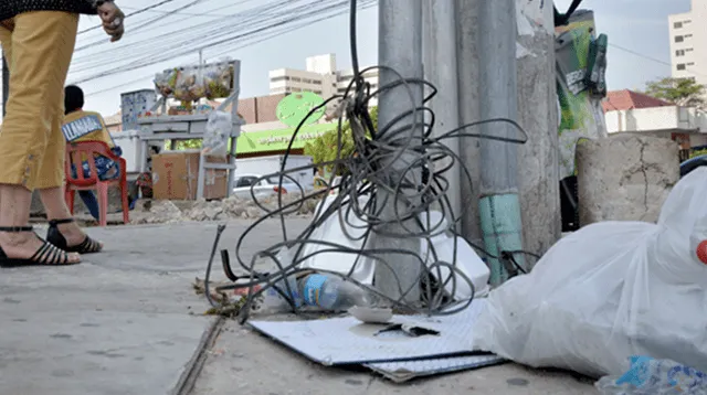 Perro muere debido a cables caídos en la calle