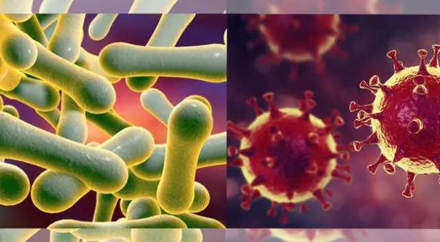 Difteria Vs. Coronavirus.