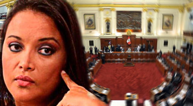 Mariella Zanetti buscará un curul en el congreso en las próximas elecciones.