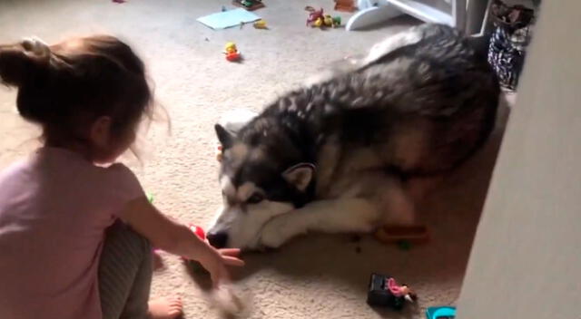 Llega a casa y descubre a su pequeña hija jugando a la ‘cocinita’ con su perro