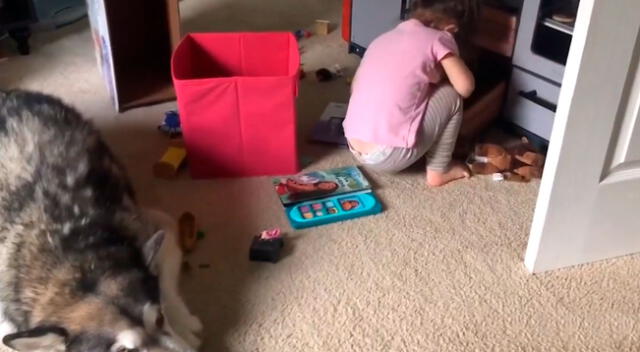 Llega a casa y descubre a su pequeña hija jugando a la ‘cocinita’ con su perro