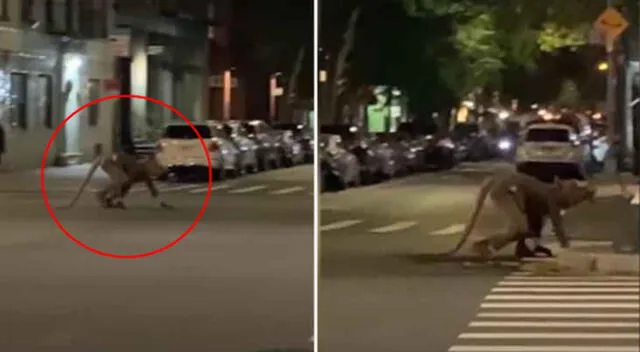 El hombre fue grabado recorriendo las calles de Nueva York.