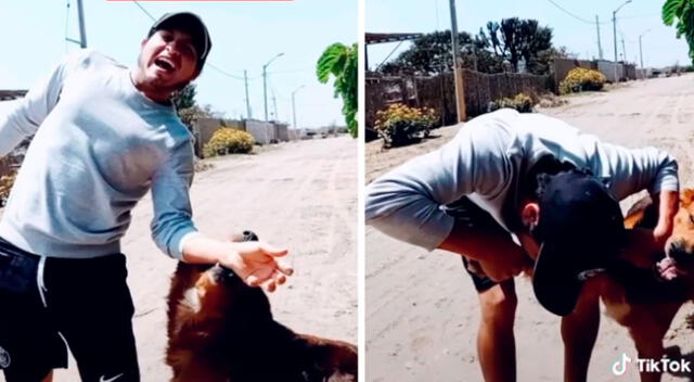 Joven juega con su perro a las mordidas y el divertido momento se vuelve viral